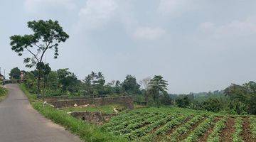 Gambar 4 Di  lahan cantik di Ciampe Bogor Gunung Bundar