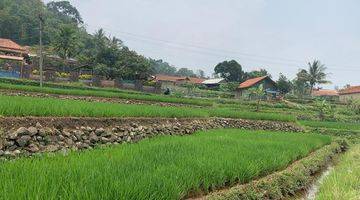 Gambar 5 Di  lahan cantik di Ciampe Bogor Gunung Bundar