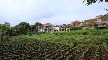 Gambar 5 RUMAH KLASIK LUAS BONUS TANAH KEBUN CANTIK DEKAT PEMKOT CIMAHI KOTA