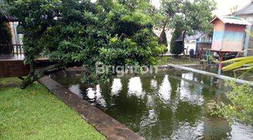 Gambar 3 Rumah Tengah kota serasa villa