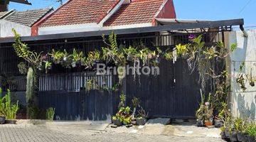 Gambar 1 Rumah Mungil renovasi di Ikan Gurami