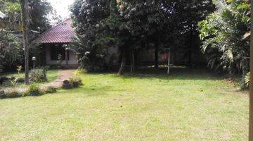 Gambar 2 Rumah Kebun Nyaman dan Hijau