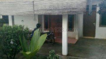 Gambar 5 rumah lama nuansa kebun dan nyaman