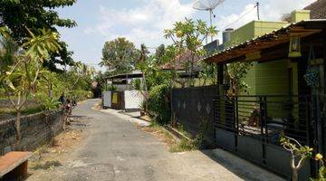 Gambar 3 House for sale near central Lovina