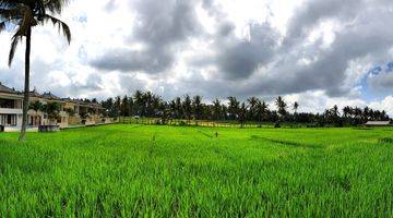 Gambar 2 3 Bedroom Villa at East of Ubud Bali