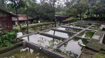 Gambar 1 TANAH PRODUKTIF DAN RATUSAN TAMBAK IKAN SIAP MELANJUTKAN USAHA BESERTA RUMAH DI DRAMAGA BOGOR