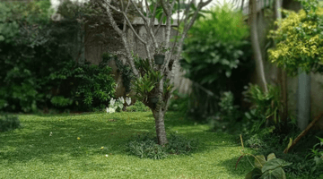 Gambar 2 Rumah terawat di Pondok Cabe