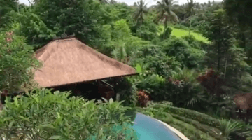 Gambar 5 Villa Tropis  View Sawah Di Lodtunduh  Ubud