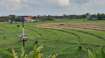 Gambar 1 VILLA CANGGU FULL VIEW SAWAH