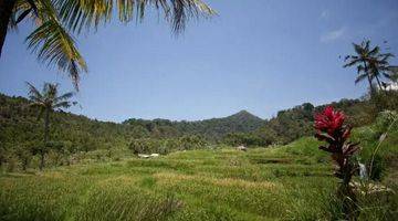 Gambar 1 Rice Field View Land  In Singaraja