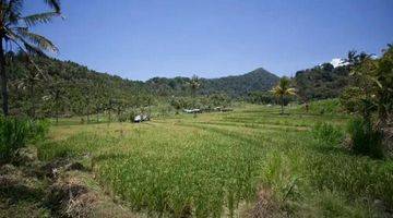 Gambar 2 Rice Field View Land  In Singaraja