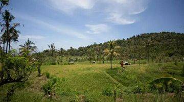 Gambar 3 Rice Field View Land  In Singaraja