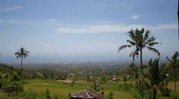 Gambar 4 Rice Field View Land For Sale In Singaraja