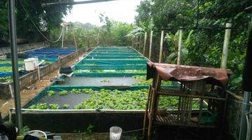 Gambar 1 Jual Rumah dan Kolam Ikan, Bogor