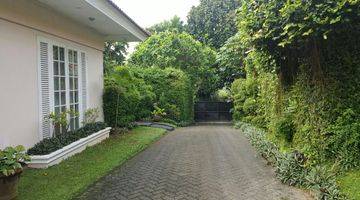 Gambar 4 Rumah kebun cantik ex bule luas seperti di villa bisa buat cafe ok