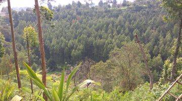 Gambar 3 Villa Nyaman Terawat Asri di Lembang Bandung