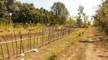 Gambar 1 Tanah Kalibukbuk Buleleng Lovina Bali