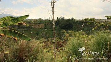 Gambar 3 Dengan pemandangan yang spectakuler, sangat cocok untuk resort