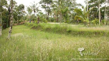 Gambar 5 Dengan batas langsung sungai ayung dan pemandangan lembah dan pegunungan