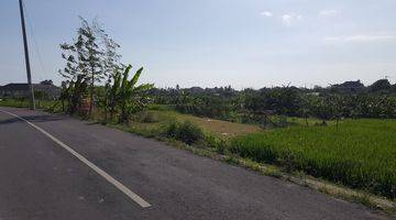 Gambar 1 Hanya 500 Meter Dari Pantai Pererenan Bentuk Ngantong