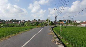 Gambar 2 Hanya 500 Meter Dari Pantai Pererenan Bentuk Ngantong