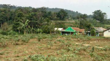 Gambar 4 Tanah Subur Jl Situ Daun Dekat Wisata Dan PasaR