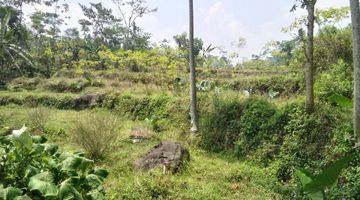 Gambar 5 Tanah di Bogor ada mata air besar ccok untuk air mineral