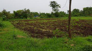 Gambar 1 Tanah Industri Ngoro, Mojokerto, Jawa Timur, Siap Bangun, Tanpa Uruk, SHM