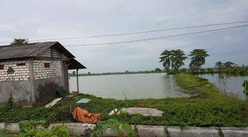 Gambar 1 Tanah Industri, Pucuk, Lamongan