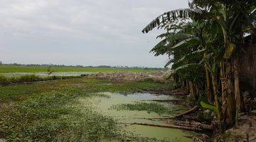 Gambar 3 Tanah Industri, Pucuk,Lamongan (Nol Jalan Provinsi)