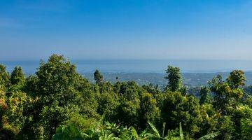 Gambar 2 L22 Tanah Diperbukitan Dengan View Laut 5000m2 SHM di Kayuputih