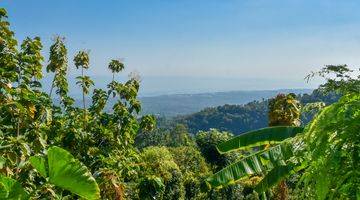 Gambar 4 L22 Tanah Diperbukitan Dengan View Laut 5000m2 SHM di Kayuputih