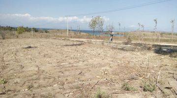 Gambar 5 Lahan Murah di Pantai Pink Lombok