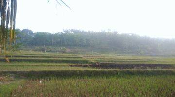 Gambar 4 LAHAN MATANG SEBERANG PANTAI 