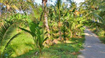 Gambar 2 Tanah Paling Murah Dekat Pantai Saba Gianyar Bali (hrtgia144)