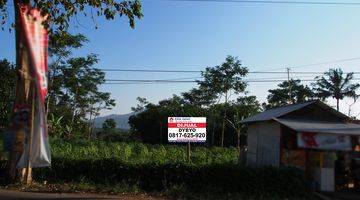 Gambar 1 Tanah Bagus di Mainroad ,tanjung Sari Sumedang