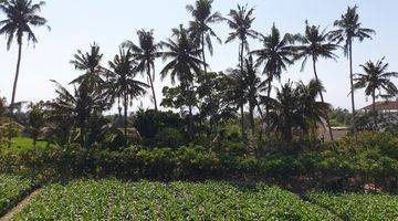 Gambar 2 Lahan Private Villa (1.486 m2) with Ocean &amp; Rice Field View di Desa Rangkan Ketewel - Gianyar