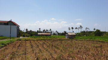 Gambar 3 Lahan Private Villa (650m2) with Ocean &amp; Rice Field View di Desa Rangkan Ketewel - Gianyar