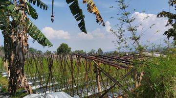 Gambar 1 Lahan Luas Di Bandungan Murah Lokasi Deket Jl Raya