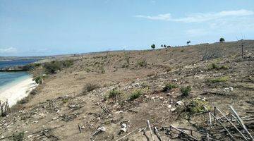 Gambar 5 Lahan Murah Los Pantai Pink Lombok Harga Nego Sampi Deal