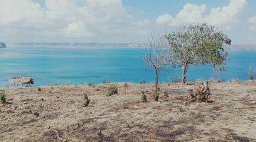 Gambar 4 Tanah Exotic Los Pantai Pasir Putih