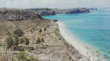 Gambar 1 Tanah Exotic Los Pantai Pasir Putih