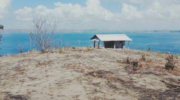 Gambar 5 Tanah Exotic Los Pantai Pasir Putih