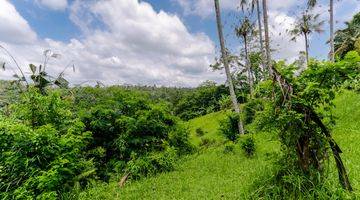 Gambar 4 loss sungai ayung ubud