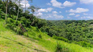 Gambar 5 loss sungai ayung ubud