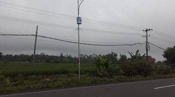 Gambar 5 Dijual Tanah Murah Pinggir Jalan Trans Sumatera Lampung 