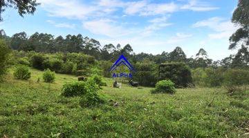 Gambar 4 Dijual Tanah Sebelah Dusun Bambu Lembang