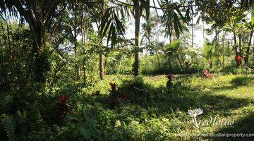 Gambar 1 Lokasi di desa taro yang tenang