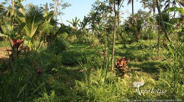 Gambar 2 Lokasi di desa taro yang tenang