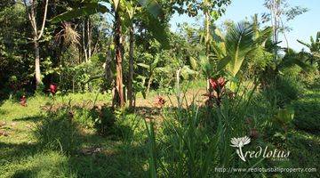 Gambar 3 Lokasi di desa taro yang tenang